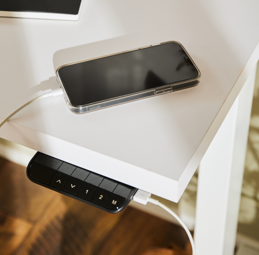 Eleva One Standing Desk Structure